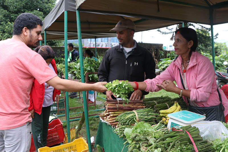 Gyanu-Bhandari-Dhampus-Kaski-at-farmers-market-1737968233.jpg